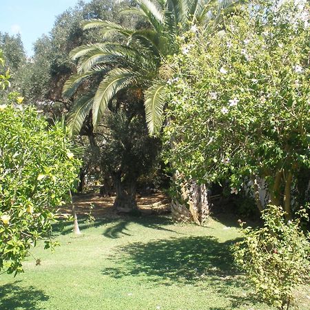 Livadi Apartments Plakias Dış mekan fotoğraf