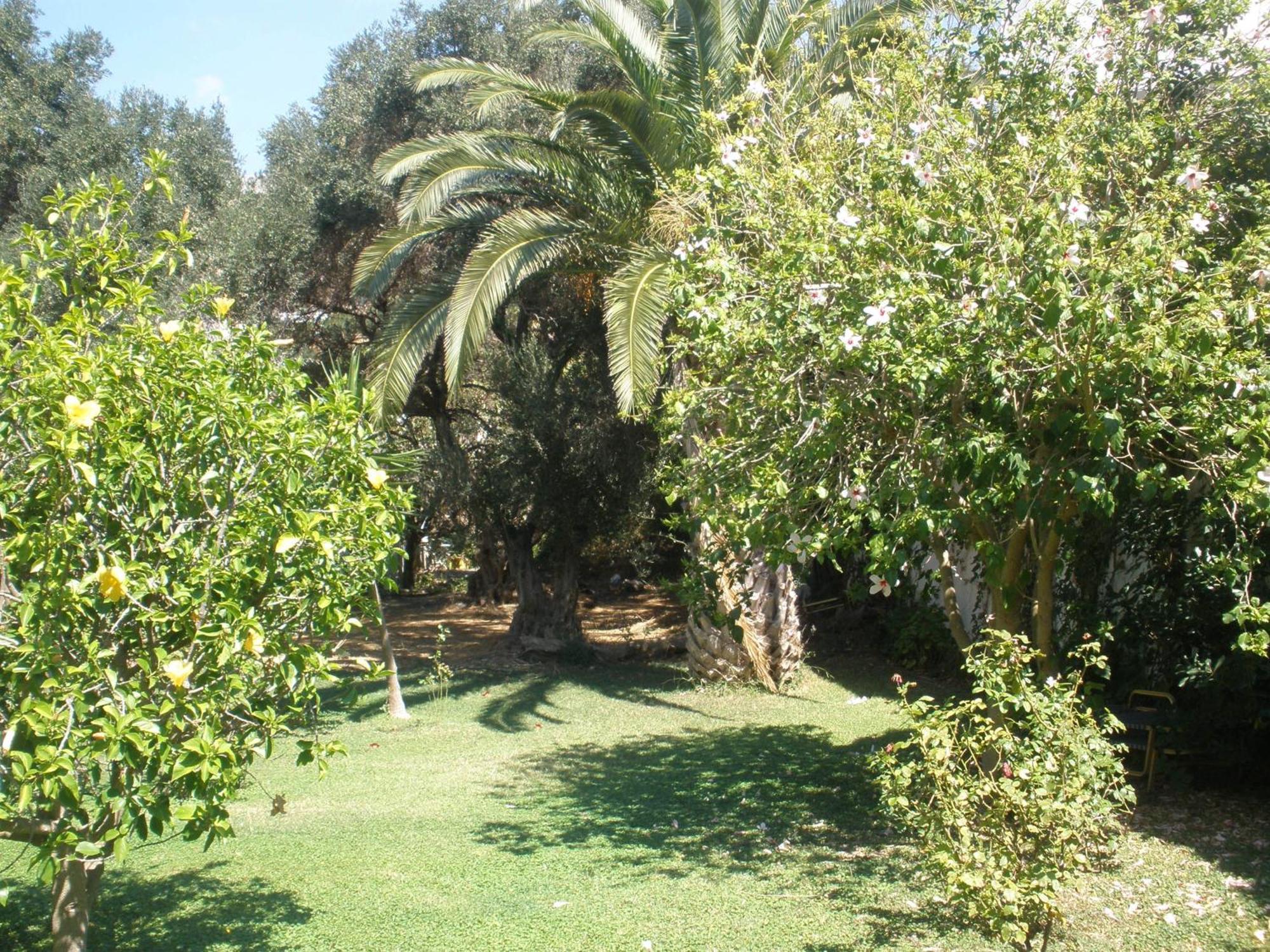 Livadi Apartments Plakias Dış mekan fotoğraf