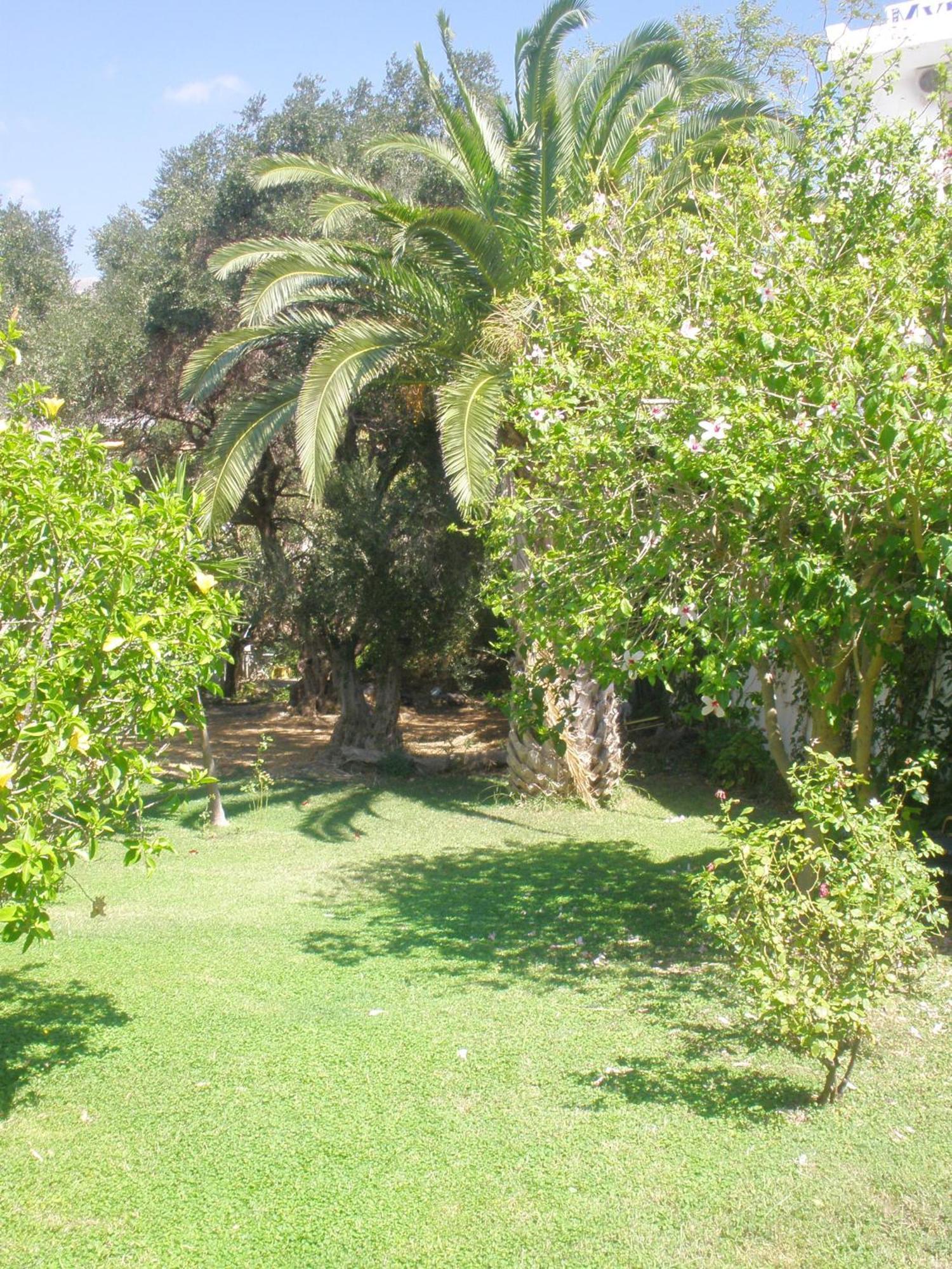Livadi Apartments Plakias Dış mekan fotoğraf