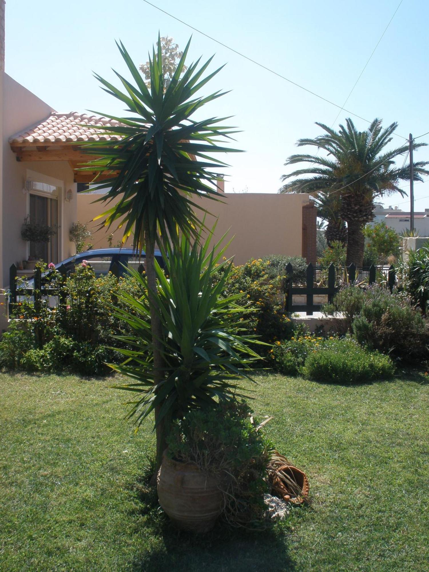Livadi Apartments Plakias Dış mekan fotoğraf