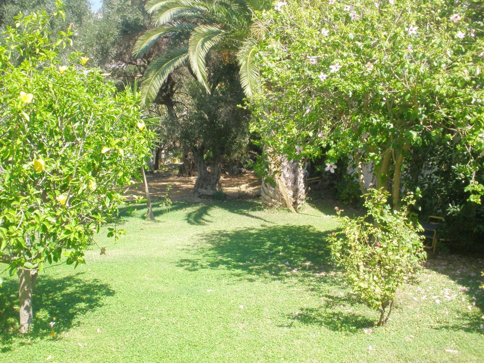 Livadi Apartments Plakias Dış mekan fotoğraf