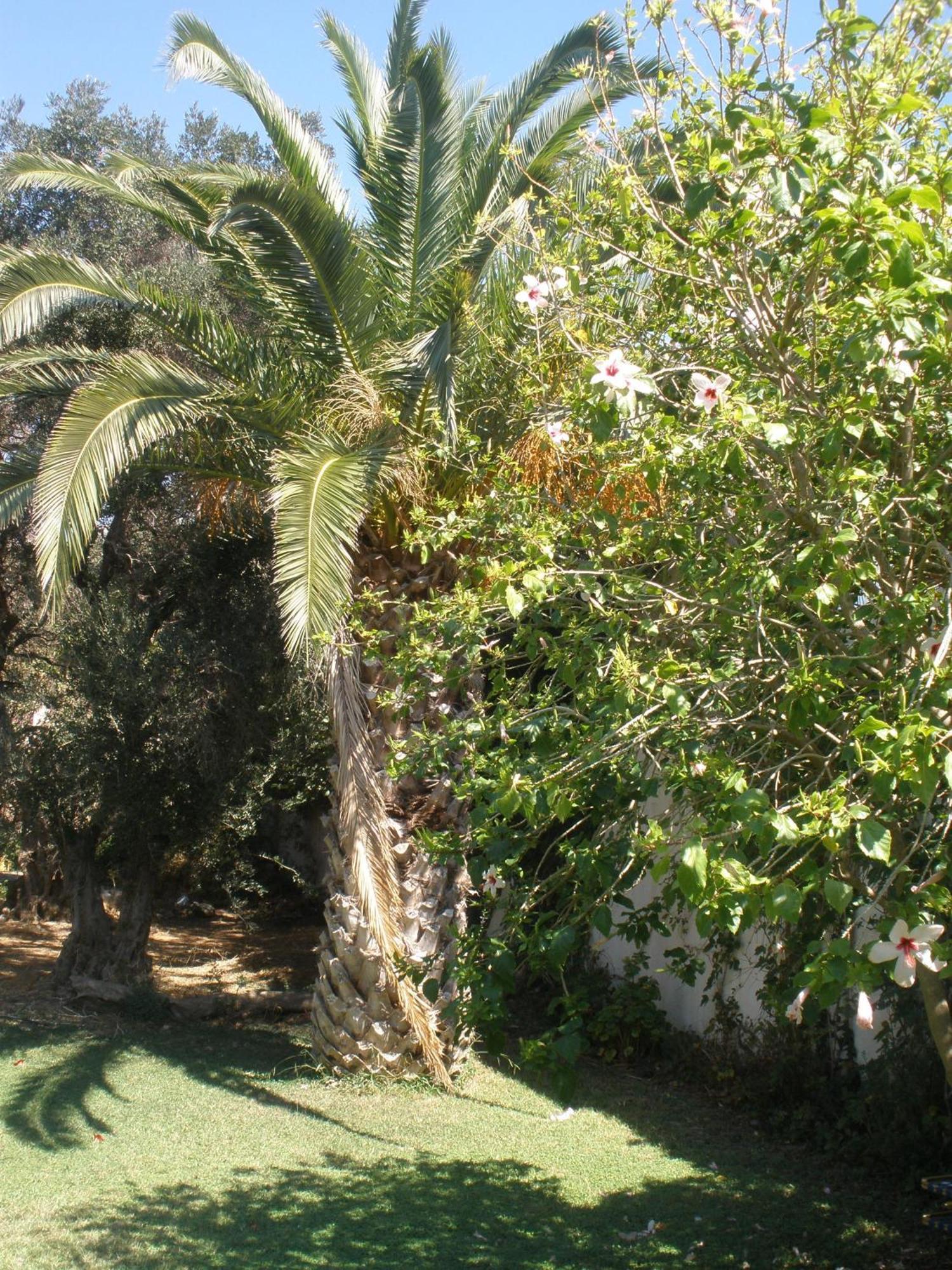 Livadi Apartments Plakias Dış mekan fotoğraf