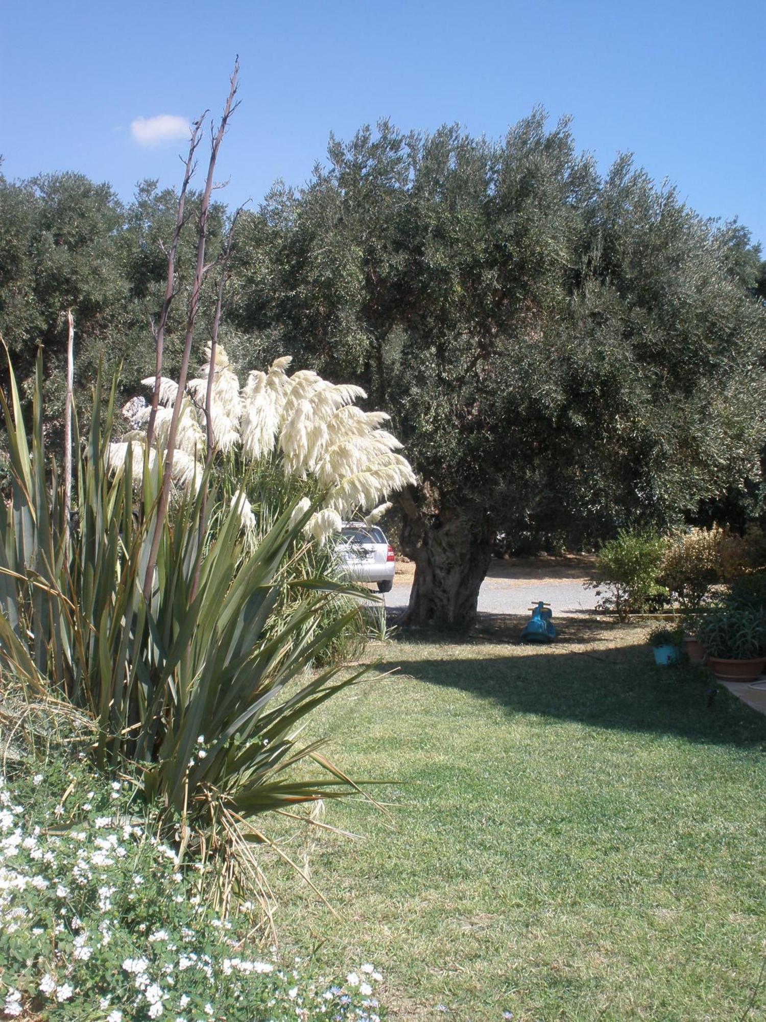 Livadi Apartments Plakias Dış mekan fotoğraf