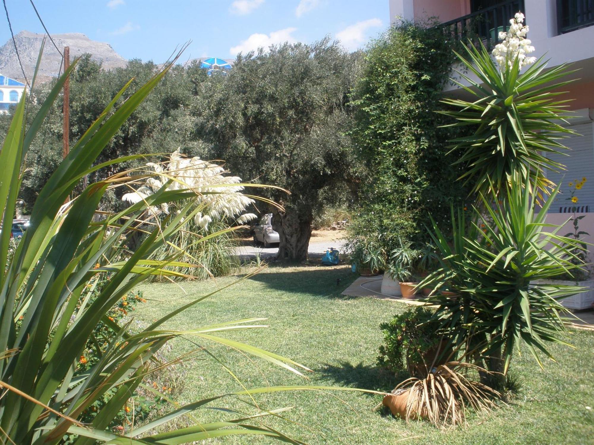 Livadi Apartments Plakias Dış mekan fotoğraf